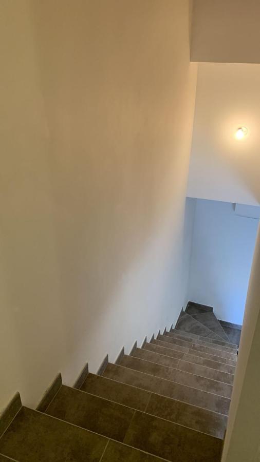 Appartement Rue De Provence Avinyon Dış mekan fotoğraf